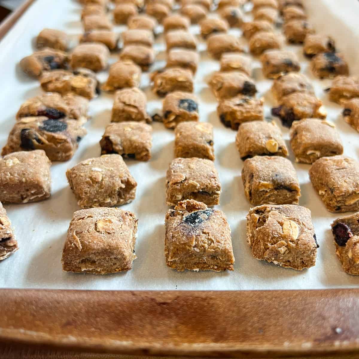 Blueberry Dog Treats