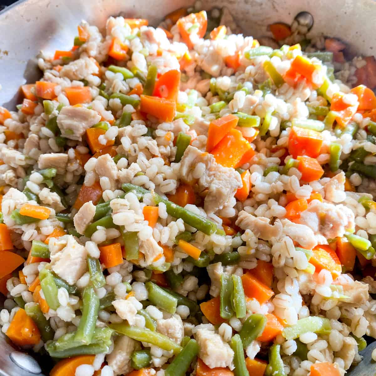 chicken, barley, carrots, and green beans for dogs