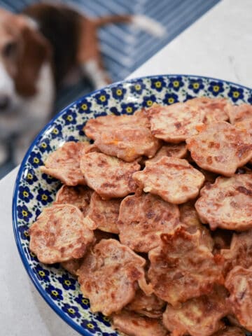 apple cheddar bacon pancakes for dogs
