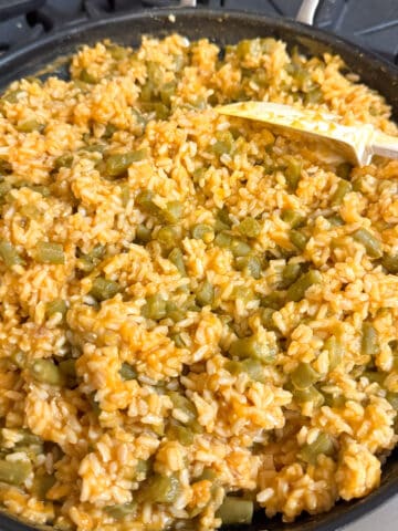 pumpkin rice and green beans for dogs